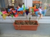 sam_8485