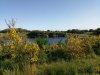 IMG_20230516_100707