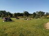 IMG_20230516_100732