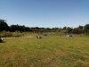 IMG_20230516_102808