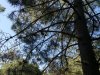 IMG_20220613_101355