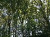 IMG_20220613_143908