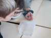 IMG-20230216-WA0001