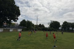 IMG_1217