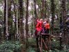 IMG_20210705_115535