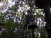 IMG_20210705_115640