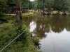 IMG_20210705_125046