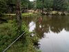IMG_20210705_125047