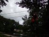 IMG_20210705_130421