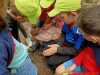 IMG-20210705-WA0003