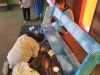IMG-20230401-WA0028