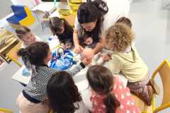 IMG-20251115-WA0002