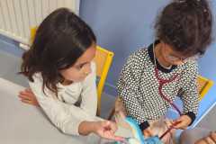 IMG-20251115-WA0012