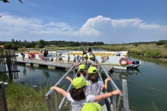 IMG-20250613-WA0044