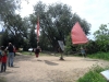 sam_8550