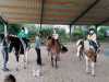 IMG-20210622-WA0023