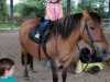 IMG-20210622-WA0010