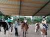 IMG-20210622-WA0015