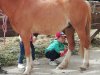 IMG_20210622_093701
