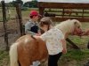 IMG_20210622_095511