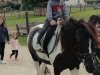 IMG_20210622_100255