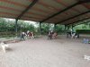 IMG_20210622_101302