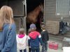 IMG_20210622_103541