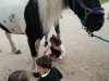 IMG_20210622_105843