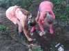 IMG-20230708-WA0034