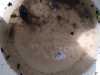 IMG-20230708-WA0043