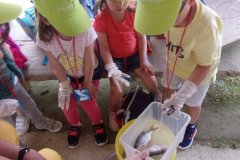 KODAK Digital Still Camera